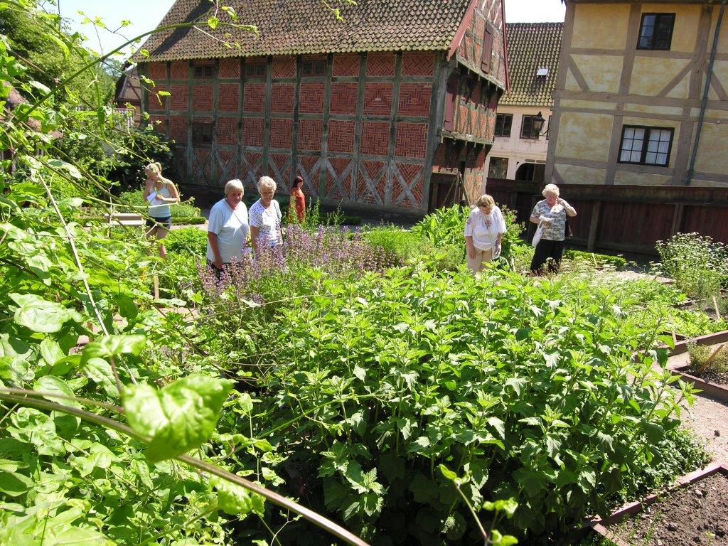 I museets historiske haver er der nye oplevelser året rundt.