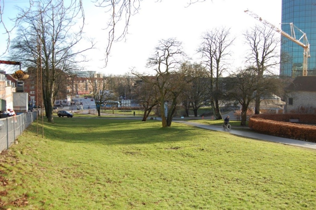 ”Botanisk Have tættest på Den Gamle By har ingen væsentlig betydning som levested  for hverken dyr, svampe eller planter”, udtaler Naturhistorisk Museum. 